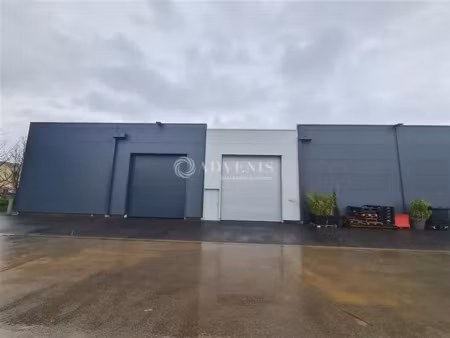 local d'activités a louer