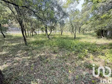 vente terrain à saint-restitut (26130) : à vendre / 2002m² saint-restitut