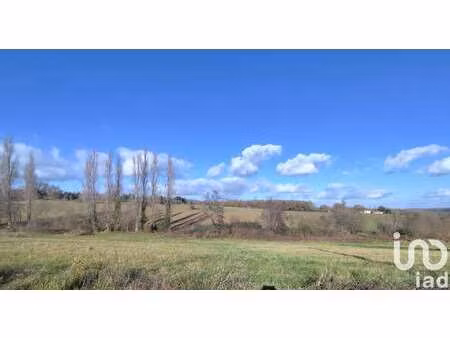 vente terrain à montesquieu-guittaut (31230) : à vendre / 5569m² montesquieu-guittaut