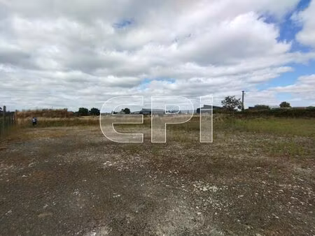 vente terrain 3227 m² lys-haut-layon (49310)