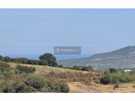 vente appartement 3 pièces 67 m² à oletta (20232)  176 800 €