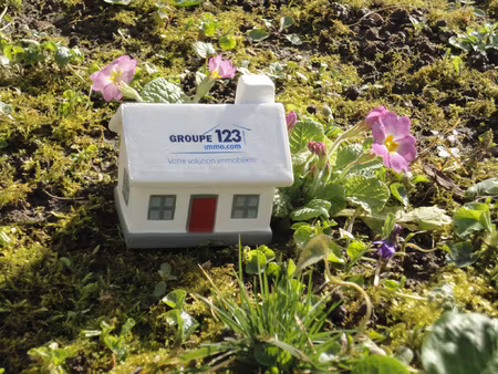 achat terrain 682m² guerchy 89113