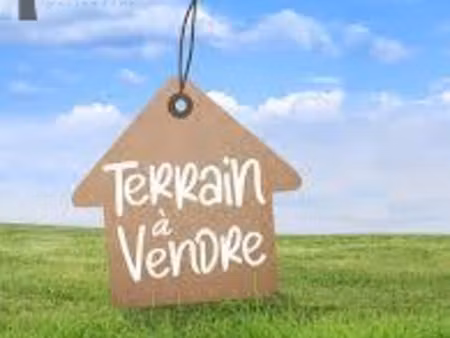 terrain constructible