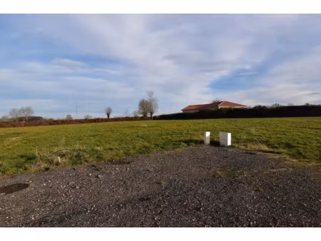 vente terrain 1150 m² à saint-christophe-en-brionnais (71800)  24 000 €