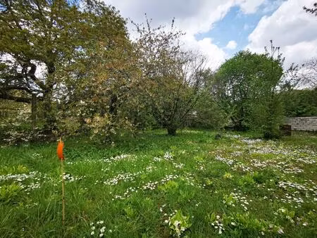 vente terrain 967 m² paron (89100)