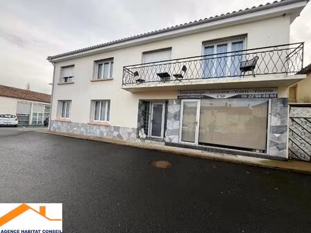 vente maison 9 pièces 200 m² saint-denis-la-chevasse (85170)