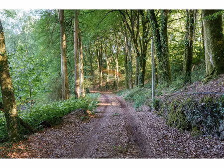 monlin et sa grande longere a renover dans un joli parc avec