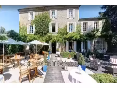 vente locaux professionnels 0 pièces 966 m² à montignac (24290)  1 300 000 €