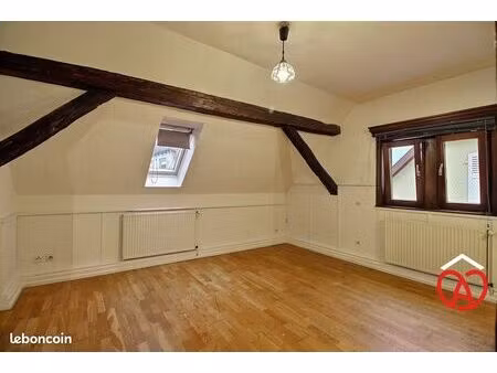 studio 1 pièce 20 m²