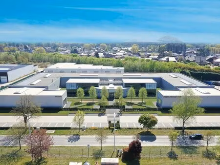 bien professionnel à vendre à opglabbeek € 1.700.000 (labot) - | zimmo