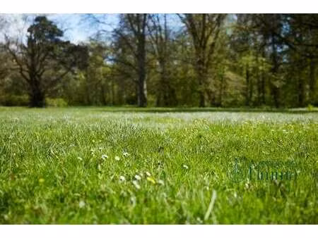 vente terrain à cholet (49300) : à vendre / 698m² cholet