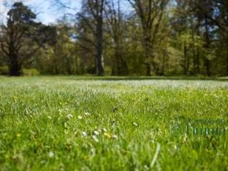 vente terrain à cholet (49300) : à vendre / 698m² cholet