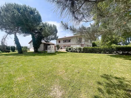 immeuble castelsarrasin 12 pièce(s) 300 m2