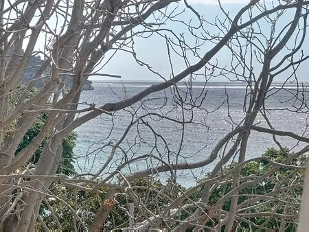 eze bord de mer – double opportunité avec aperçu mer