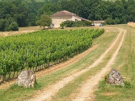 maison rénovée / piscine privée