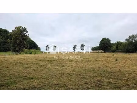 terrain constructible