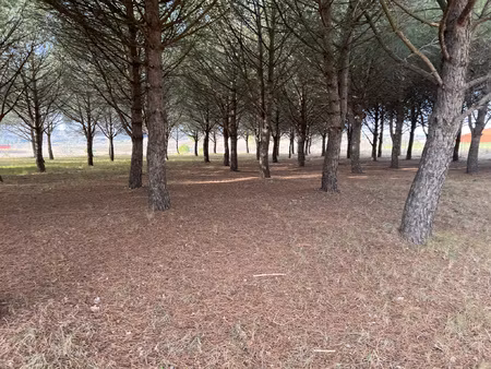 achat terrain 1 715m² peyriac minervois 11160