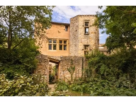 maison de luxe à vendre à alet-les-bains