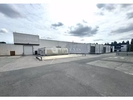 local d'activités a louer