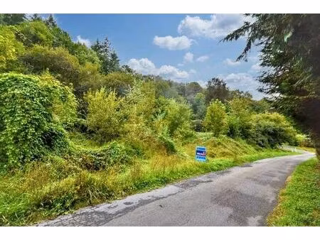 terrain à vendre à le chemin vert vieuxville (vbc94725)