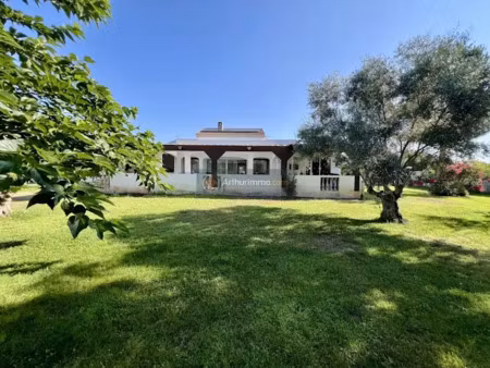 vente maison 9 pièces 257 m² à lucciana (20290)  960 000 €