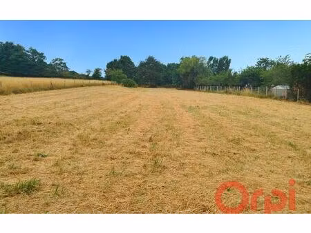 terrain saint-amand-montrond m² t- à vendre  34 000 €