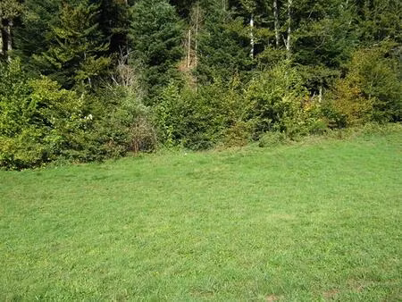 vente terrain 800 m² bethonvilliers (90150)