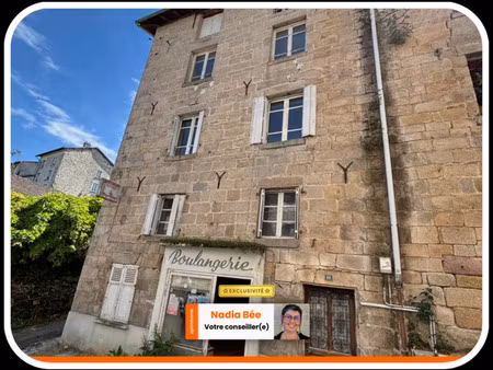 maison à vendre 12 pièces eymoutiers (87)