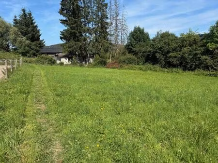 parcelle de 40 ares avec gros potentiel à barvaux (durbuy)