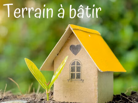 terrain savigne sur lathan 5141 m2