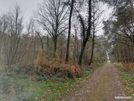 parcelle forestière