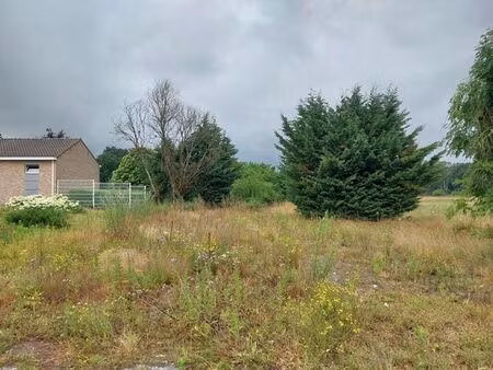 terrain à vendre à leopoldsburg € 115.000 (laffu) - immo van hees | zimmo