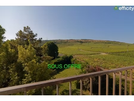 appartement 1 pièce - 30 m²