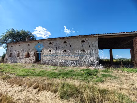 ferme 4pièce(s) 1chambre(s) 200 m² blan (81700)