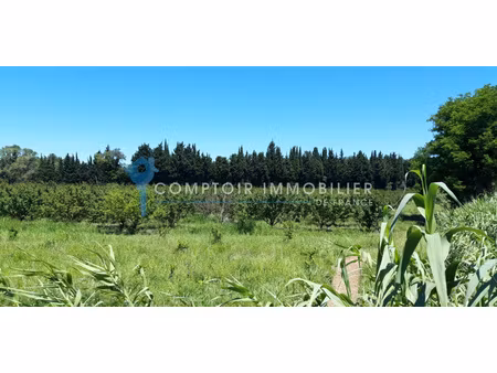 mas 10pièce(s) 4chambre(s) 250 m² vallabrègues (30300)