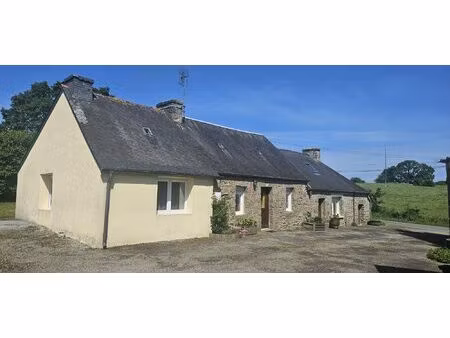 charmante longère 2 chambres avec garages et grand terrain