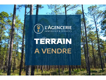 terrain constructible