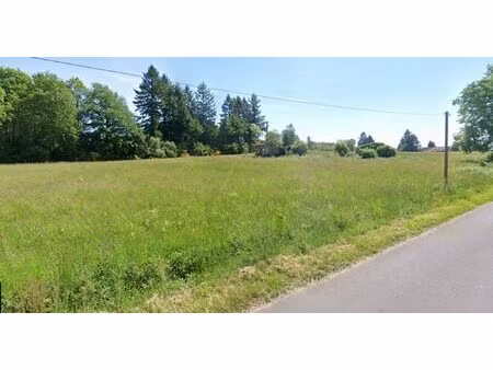 terrain naturel avec bois