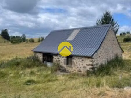 vente maison 1 pièce 40 m² pierrefort (15230)