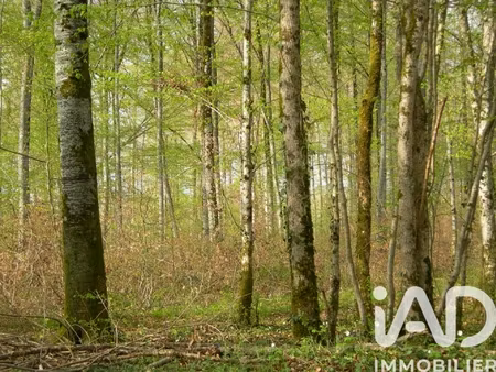 vente terrain loisirs 3 058 m²