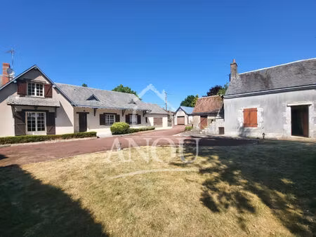 ensemble immobilier avec deux maisons entre vendome et chateaudun