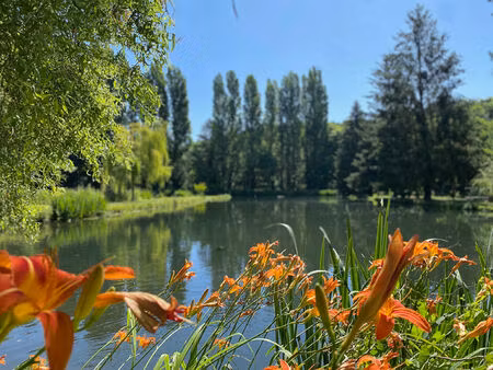 etang saint lubin des joncherets