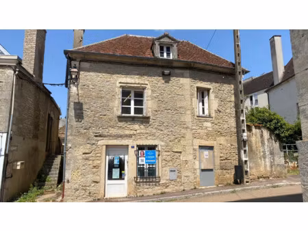 local professionnel à vendre l'isle sur serein 7 pièce(s) 150m2 82 500€