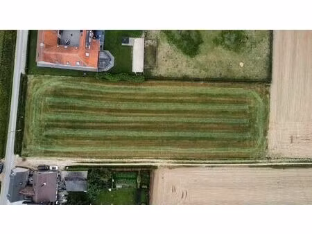 terrain agricole à vendre à kohoorstraat zarlardinge (vbc95118)