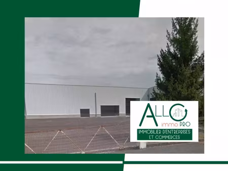 location commerce 540 m² à saint-palais (64120)