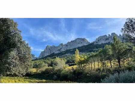 vignoble gigondas (84)