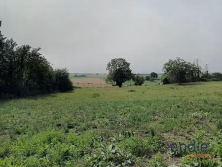 vente terrain 1536 m² à chinon (37500)  35 000 €