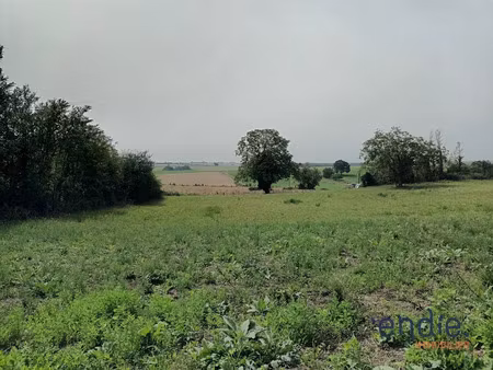 vente terrain à chinon (37500)  35 000 €