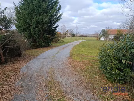 vente terrain à saint-angel (03170)  23 000 €