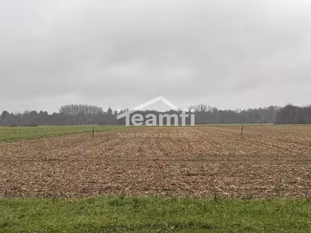 vente terrain 1056 m² à germigny-des-prés (45110)  59 500 €